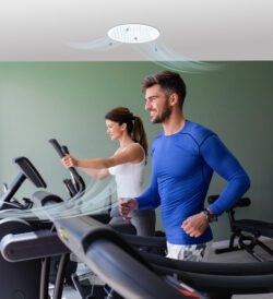 A couple on treadmills with an EPS Focus fan above them